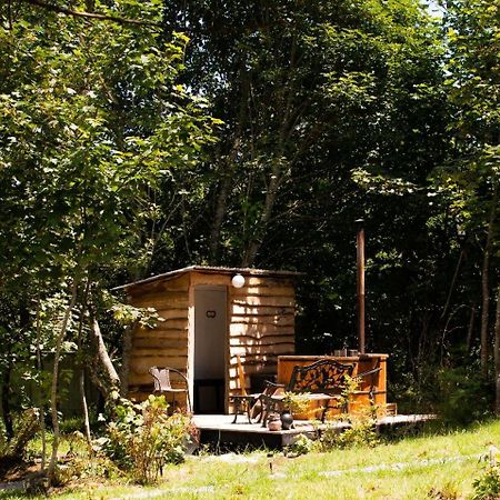 Cabanas Trapen Puerto Montt Eksteriør billede