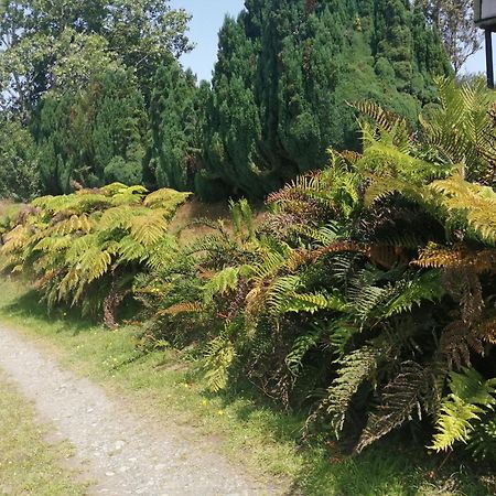 Cabanas Trapen Puerto Montt Eksteriør billede